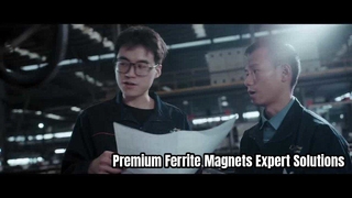 Hochleistungs-Permanent-Ferritmagnete von JOINT MAG